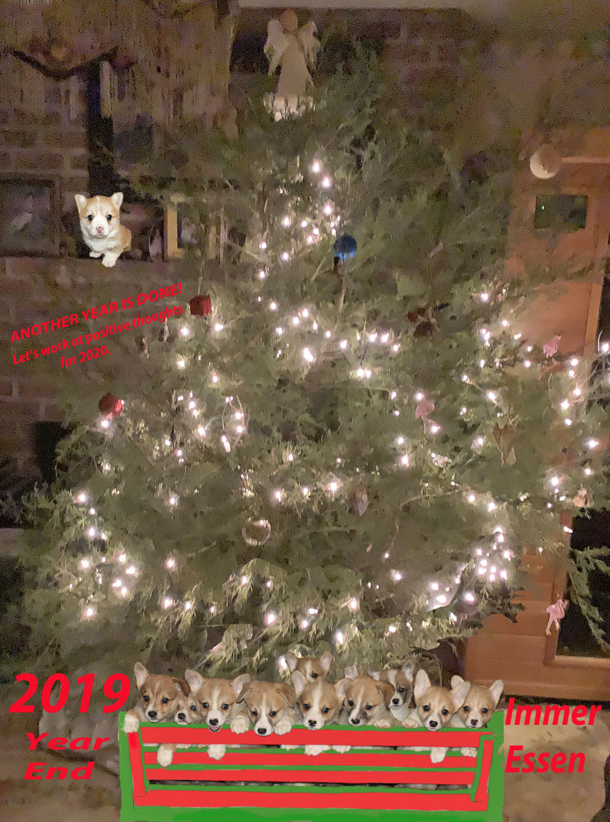 2019 holiday