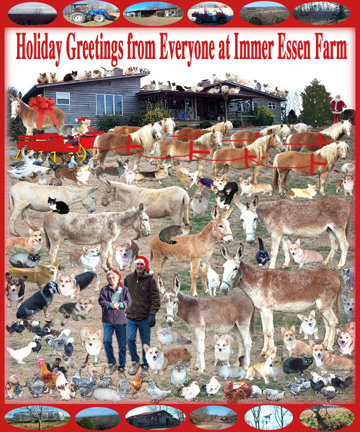HAPPY HOLIDAYS 2010